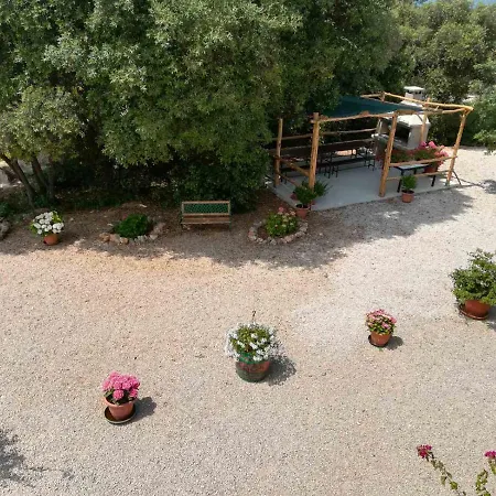 Stela Pinezići